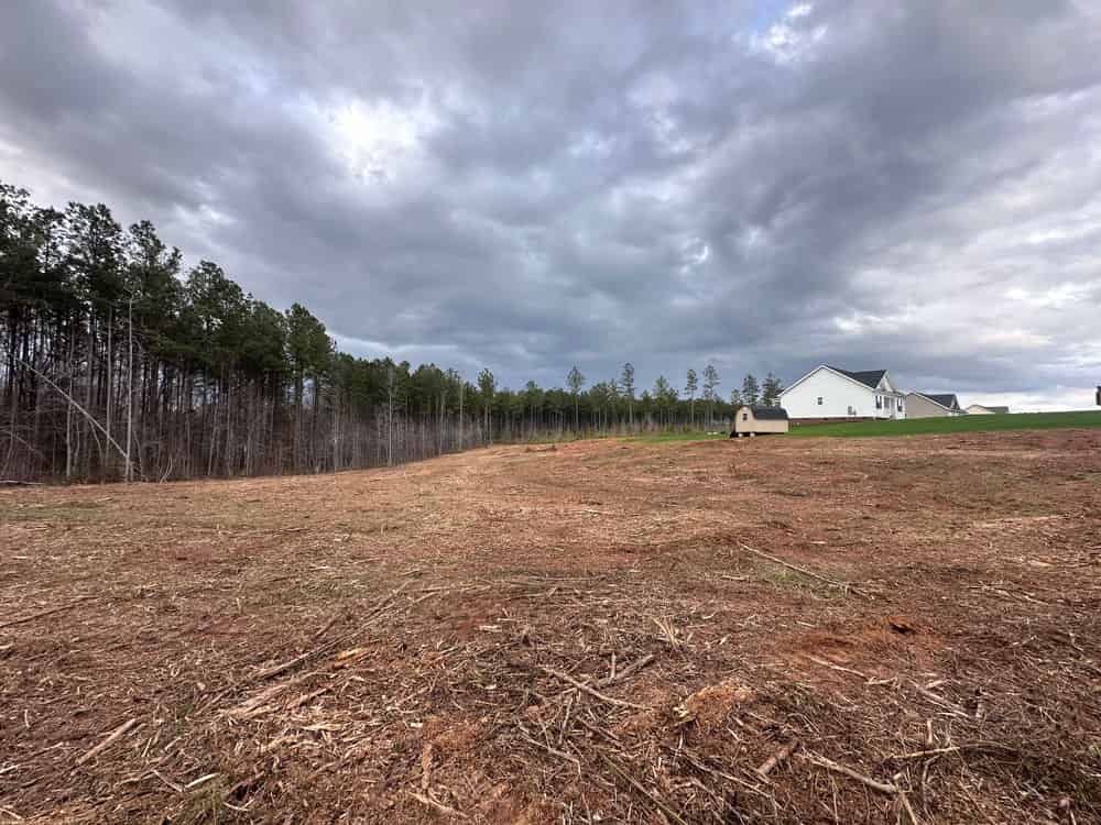 Forestry Mulching image