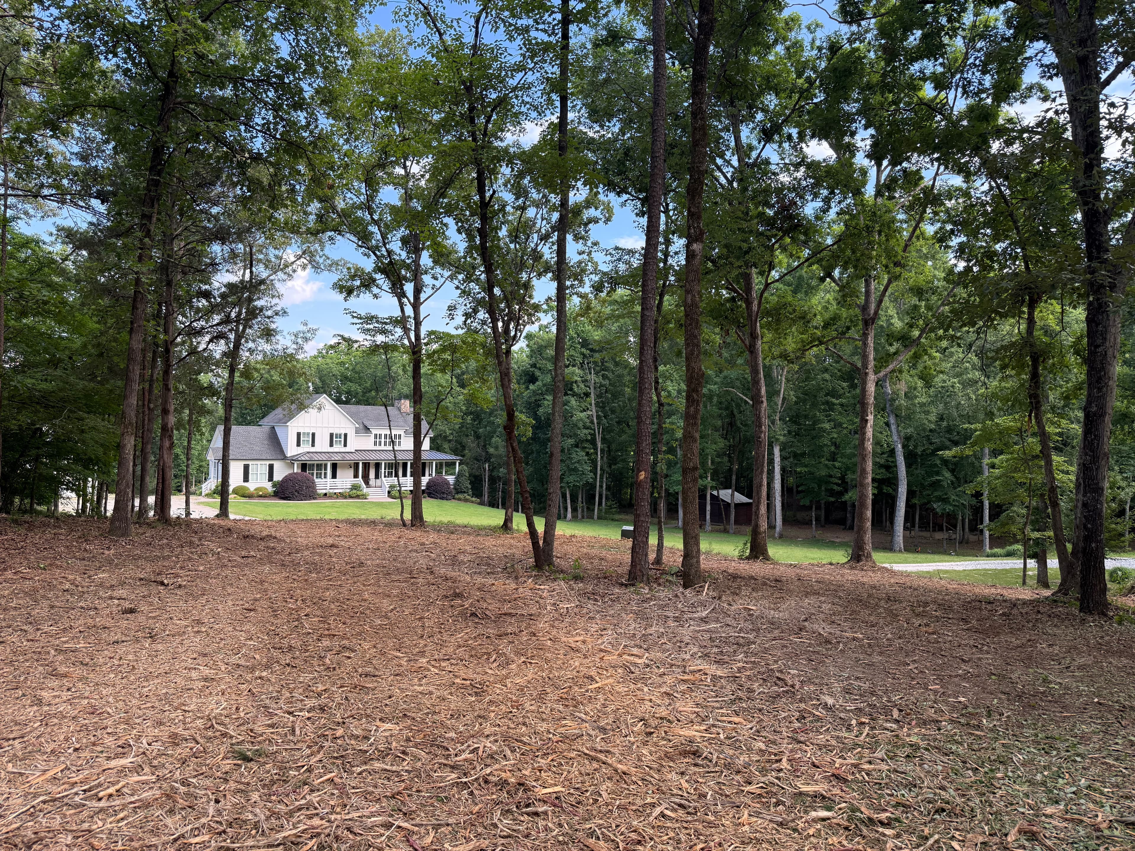 Project Forestry Mulching Gets This York SC Property Clean and Sharp image