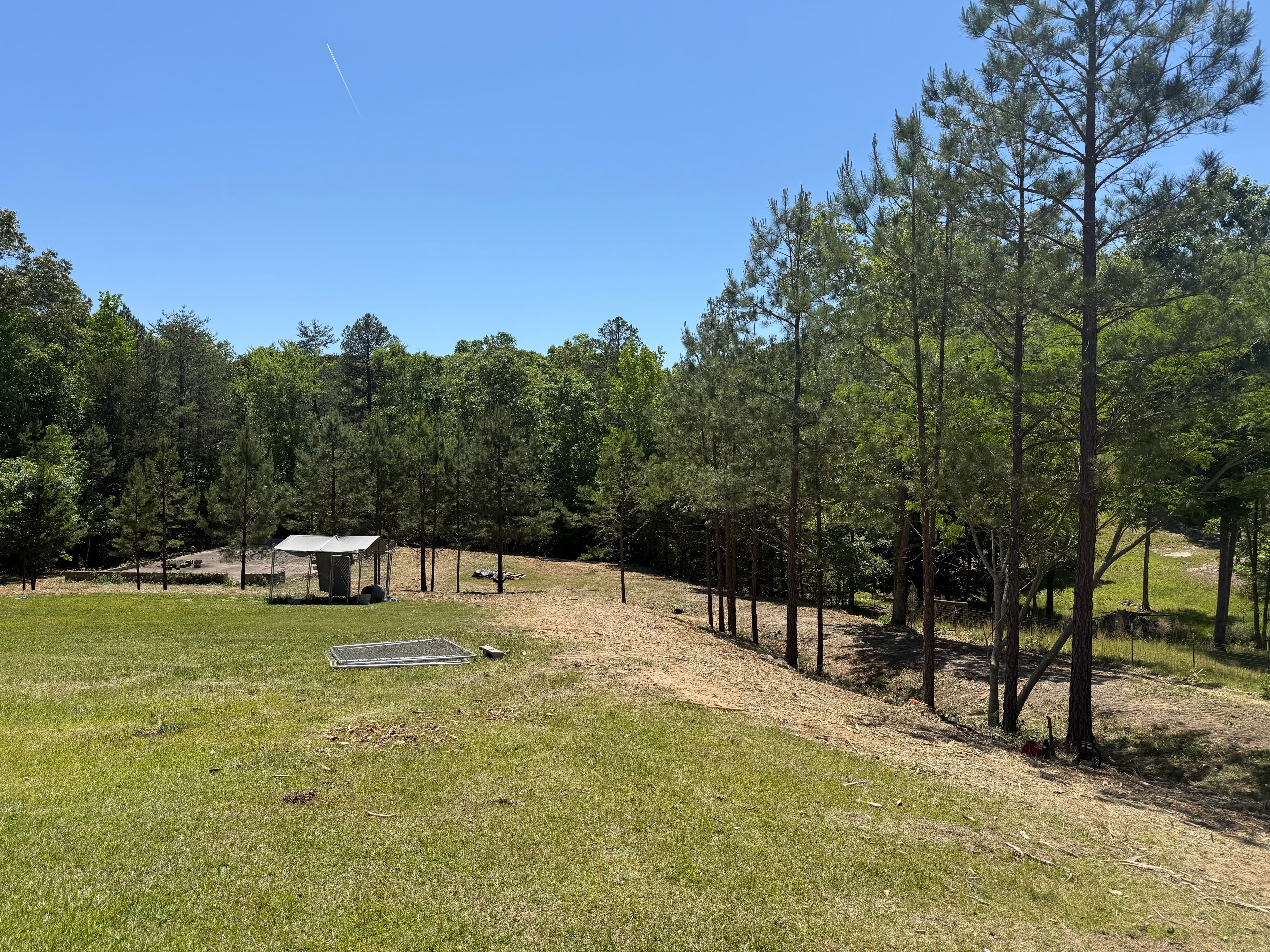 Project Forestry Mulching Clears Thick Brush in Chester SC image