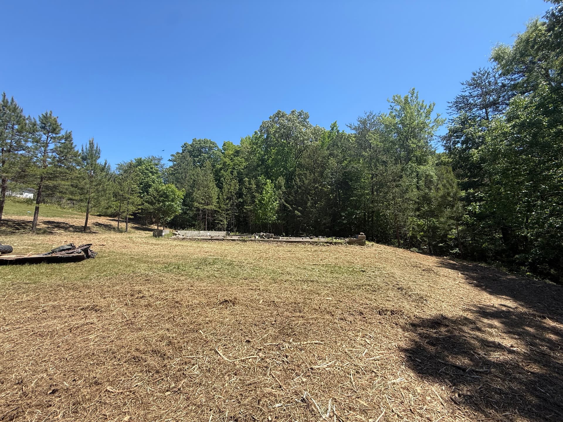 Gallery photos for Forestry Mulching Clears Thick Brush in Chester SC: Image #1