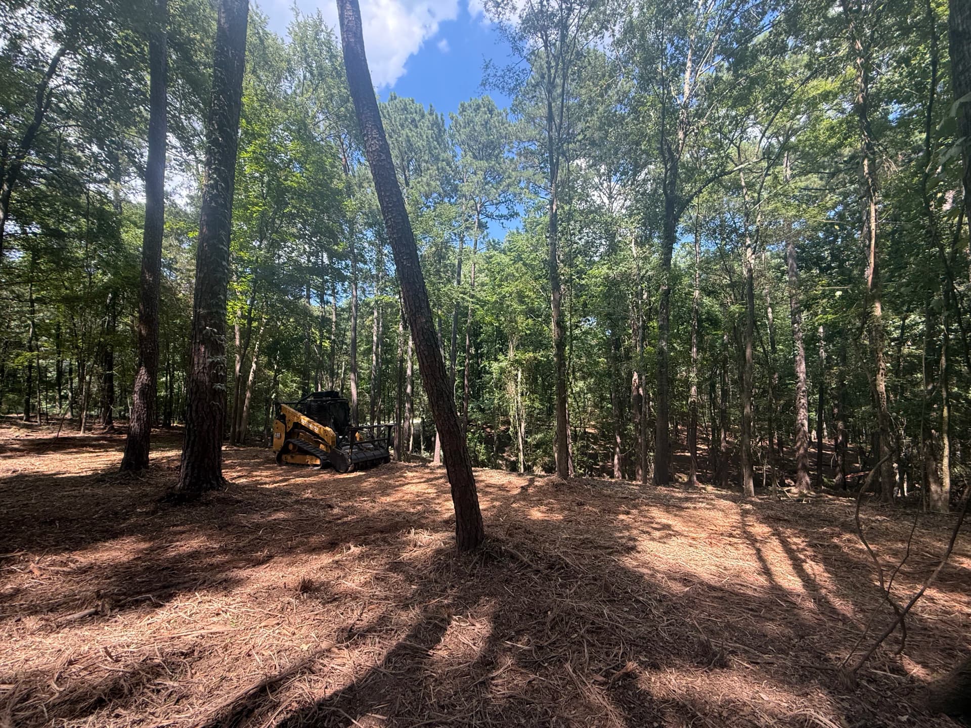 Backyard Land Clearing Opens Up Room to Breathe in York SC image