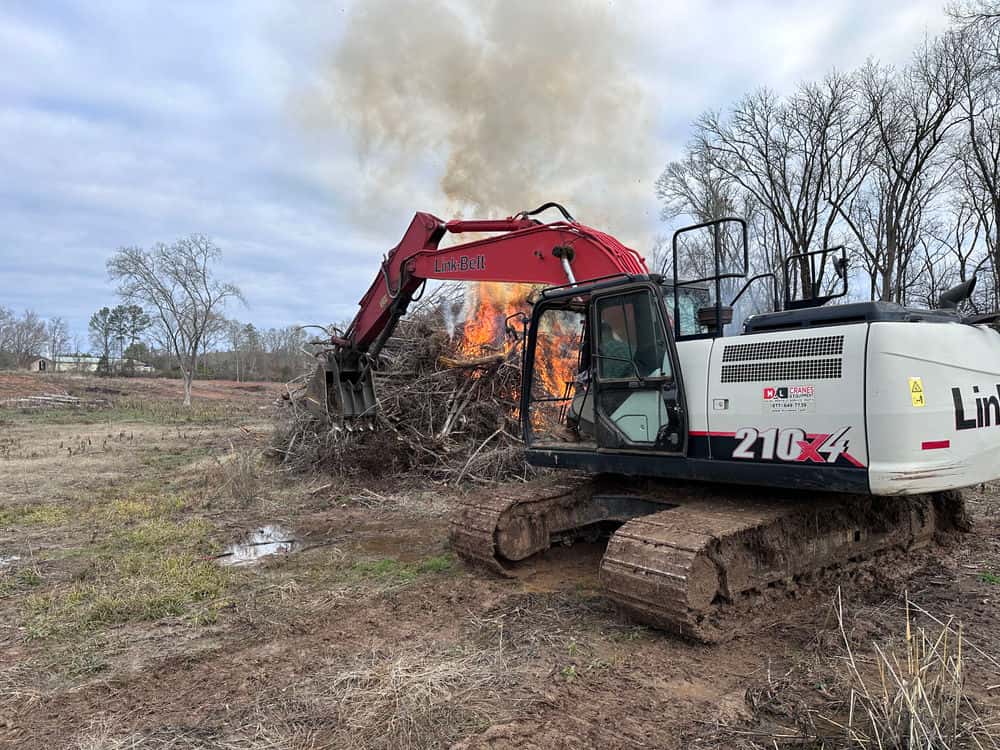 Hero image for Palmetto Land Services