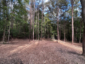 Forestry Mulching In Clover, SC