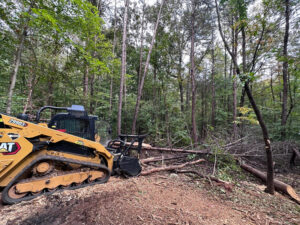 Forestry Mulching In South Carolina