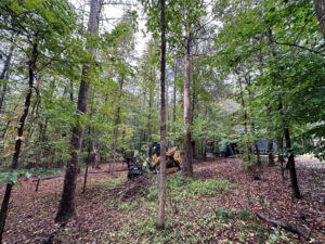 Forestry Mulching In Rock Hill, SC