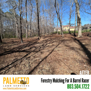 Forestry Mulching Company