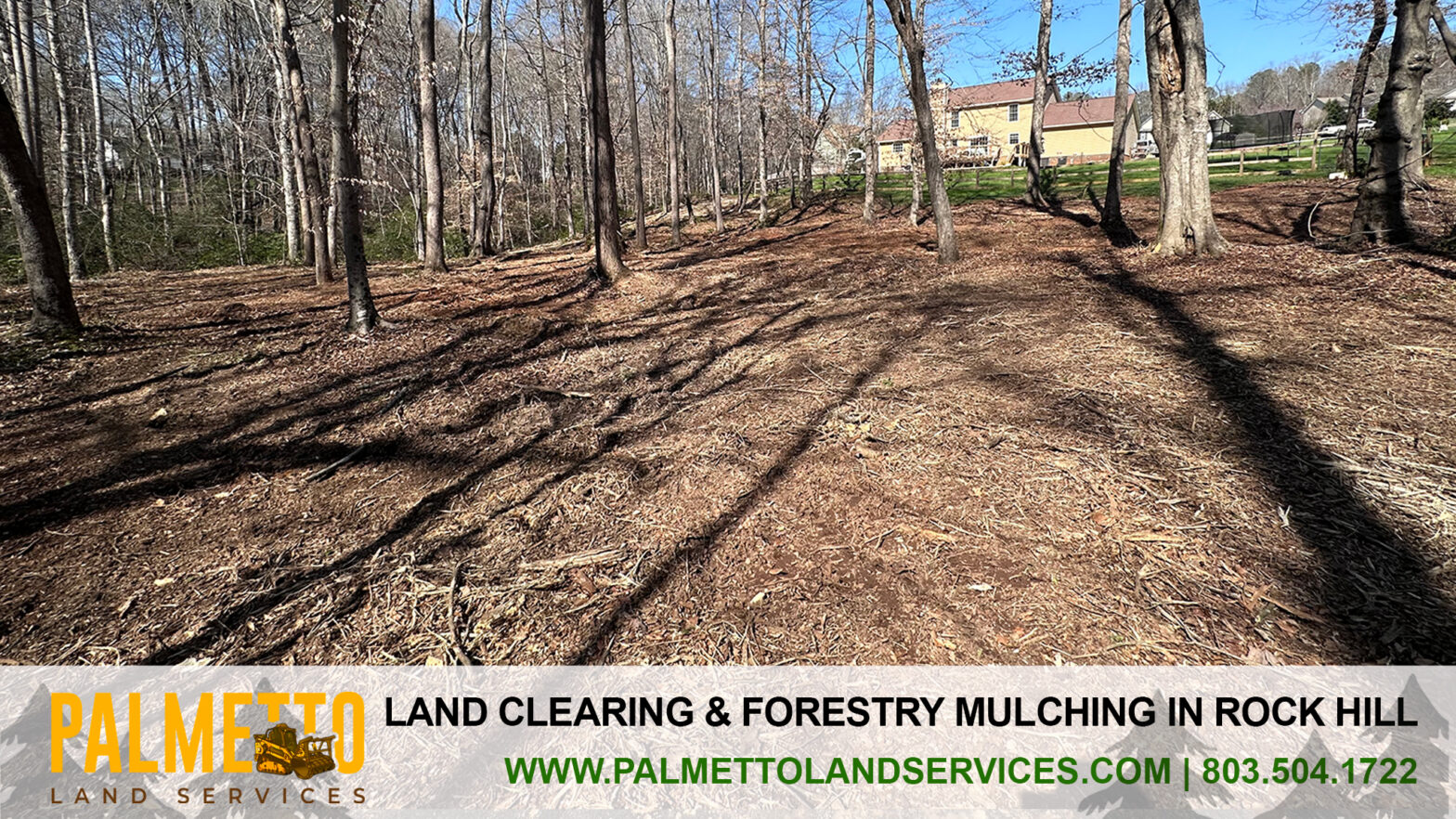 Land Clearing & Forestry Mulching in Rock Hill