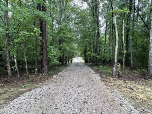 York County Forestry Mulching Company | Palmetto Land Services