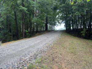 York County Forestry Mulching | Palmetto Land Services