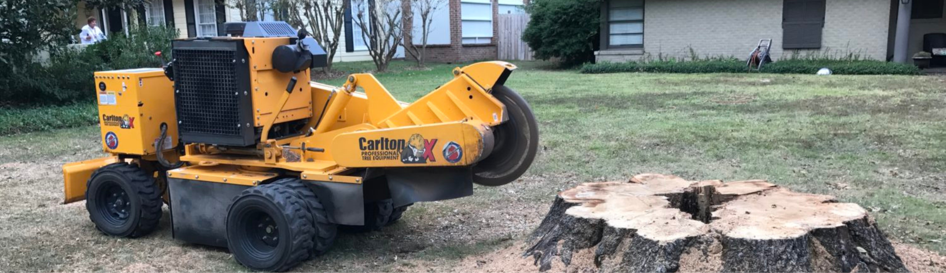 Stump Grinding Services